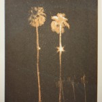 Lights In Trees (Palms #1)