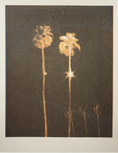 Lights In Trees (Palms #1)