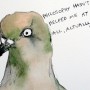 Philosophy Pigeon